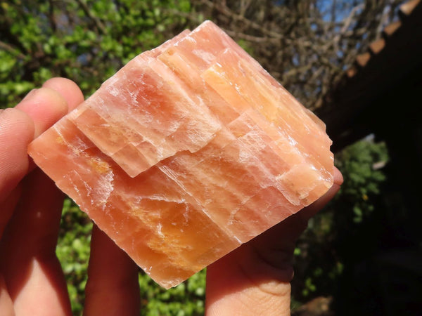 Natural New Sunset Orange Calcite Specimens  x 6 From Spitzkoppe, Namibia - Toprock Gemstones and Minerals 