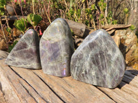 Polished Rare Purple Labradorite Standing Free Forms x 3 From Tulear, Madagascar