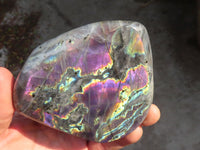 Polished Rare Purple Labradorite Standing Free Forms x 3 From Tulear, Madagascar