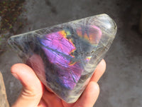 Polished Rare Purple Labradorite Standing Free Forms x 3 From Tulear, Madagascar