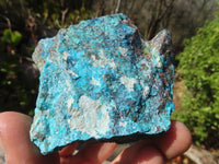 Natural Rough Shattuckite Cobbed Specimens x 24 From Kaokoveld, Namibia