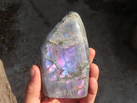 Polished Rare Purple Labradorite Standing Free Forms x 3 From Tulear, Madagascar