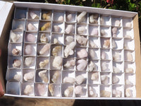 Natural Mixed Spirit Quartz Crystals  x 70 From Boekenhouthoek, South Africa - Toprock Gemstones and Minerals 