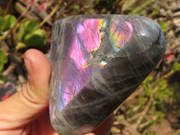 Polished Rare Purple Labradorite Standing Free Forms x 3 From Tulear, Madagascar