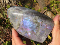 Polished Rare Purple Labradorite Standing Free Forms x 3 From Tulear, Madagascar