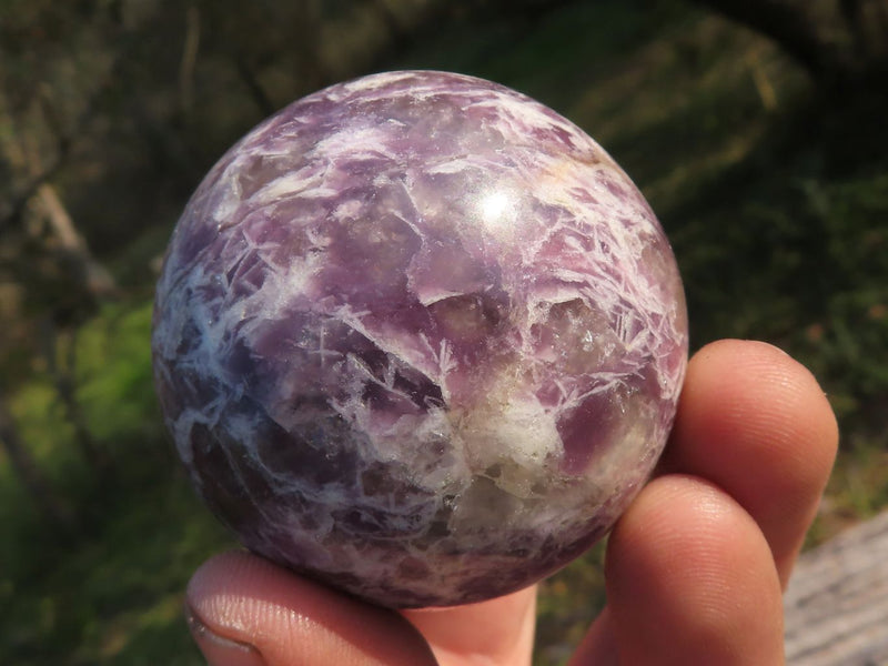 Polished Purple Lithium Mica Lepidolite Spheres x 6 From