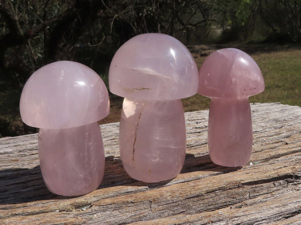 Polished Gemmy Pink Star Rose Quartz Mushrooms  x 6 From Madagascar - TopRock