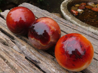 Polished Gorgeous Carnelian Agate Spheres  x 3 From Madagascar - Toprock Gemstones and Minerals 