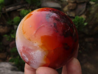 Polished Gorgeous Carnelian Agate Spheres  x 3 From Madagascar - Toprock Gemstones and Minerals 