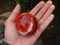 Polished Gorgeous Carnelian Agate Spheres  x 3 From Madagascar - Toprock Gemstones and Minerals 