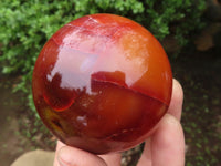 Polished Gorgeous Carnelian Agate Spheres  x 3 From Madagascar - Toprock Gemstones and Minerals 