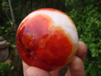 Polished Gorgeous Carnelian Agate Spheres  x 3 From Madagascar - Toprock Gemstones and Minerals 