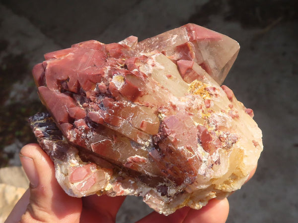 Natural Red Hematoid Quartz Specimens x 6 From Karoi, Zimbabwe