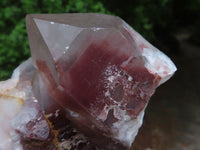 Natural Red Hematoid Quartz Clusters  x 3 From Karoi, Zimbabwe - TopRock