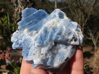 Natural New Sky Blue Calcite Specimens  x 12 From Spitzkoppe, Namibia - Toprock Gemstones and Minerals 