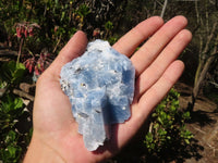 Natural New Sky Blue Calcite Specimens  x 12 From Spitzkoppe, Namibia - Toprock Gemstones and Minerals 