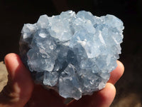 Natural Blue Celestite Crystal Specimens  x 3 From Sakoany, Madagascar - Toprock Gemstones and Minerals 