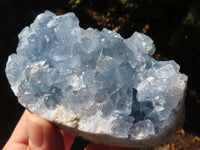 Natural Blue Celestite Crystal Specimens  x 3 From Sakoany, Madagascar - Toprock Gemstones and Minerals 