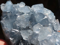 Natural Blue Celestite Crystal Specimens  x 3 From Sakoany, Madagascar - Toprock Gemstones and Minerals 