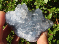 Natural Blue Celestite Crystal Specimens  x 3 From Sakoany, Madagascar - Toprock Gemstones and Minerals 