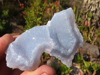 Natural Etched Blue Chalcedony Specimens  x 35 From Nsanje, Malawi