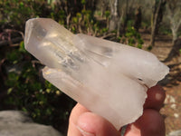 Natural Clear Quartz Specimens x 12 From Madagascar