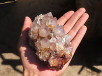 Natural Spirit Amethyst Quartz Clusters  x 2 From Boekenhouthoek, South Africa - Toprock Gemstones and Minerals 