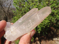 Natural Clear Quartz Specimens x 12 From Madagascar