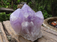 Natural Jacaranda Amethyst Clusters  x 4 From Zambia - Toprock Gemstones and Minerals 