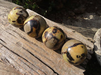 Polished Septaria (Calcite & Aragonite) Spheres  x 4 From Madagascar