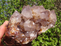 Natural Spirit Amethyst Quartz Clusters  x 2 From Boekenhouthoek, South Africa - Toprock Gemstones and Minerals 