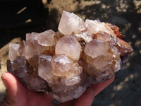 Natural Spirit Amethyst Quartz Clusters  x 2 From Boekenhouthoek, South Africa - Toprock Gemstones and Minerals 