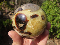 Polished Septaria (Calcite & Aragonite) Spheres  x 4 From Madagascar