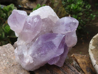 Natural Jacaranda Amethyst Clusters  x 4 From Zambia - Toprock Gemstones and Minerals 