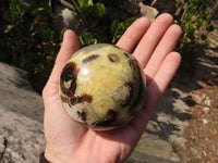 Polished Septaria (Calcite & Aragonite) Spheres  x 4 From Madagascar