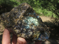 Natural Rough Labradorite Cobbed Specimens (Stone Sealed) x 6 From Tulear, Madagascar - TopRock