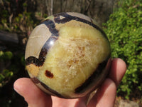 Polished Septaria (Calcite & Aragonite) Spheres  x 4 From Madagascar