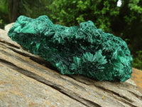 Natural Extra Large Silky Malachite Specimens  x 3 From Kasompe, Congo - TopRock