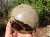 Polished Septaria (Calcite & Aragonite) Spheres  x 4 From Madagascar