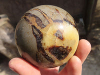 Polished Septaria (Calcite & Aragonite) Spheres  x 4 From Madagascar