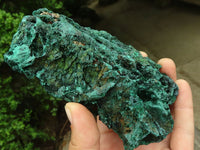 Natural Extra Large Silky Malachite Specimens  x 3 From Kasompe, Congo - TopRock