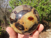 Polished Septaria (Calcite & Aragonite) Spheres  x 4 From Madagascar