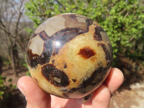 Polished Septaria (Calcite & Aragonite) Spheres  x 4 From Madagascar