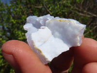 Natural Etched Blue Chalcedony Specimens  x 35 From Nsanje, Malawi