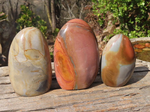 Polished Polychrome Jasper Standing Free Forms  x 3 From Madagascar