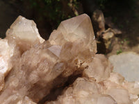 Natural Cascading Smokey Phantom Quartz Cluster  x 1 From Luena, Congo - TopRock