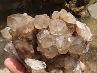 Natural Cascading Smokey Phantom Quartz Cluster  x 1 From Luena, Congo - TopRock