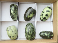 Polished Green Leopard Stone Standing Free Forms  x 6 From Zimbabwe