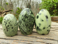 Polished Green Leopard Stone Standing Free Forms  x 6 From Zimbabwe