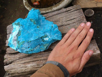 Natural Blue Chrysocolla On Silky Malachite Matrix Specimen  x 1 From Kulukuluku, Congo - Toprock Gemstones and Minerals 